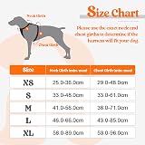rabbitgoo Dog Harness Medium No Pull with 2 Leash Clips Reflective Orange M view 2