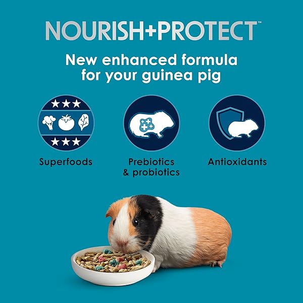 KAYTEE FORTI-DIET PRO HEALTH NOURISH+PROTECT GUINEA PIG FOOD, COMPREHENSIVE NUTRITION BACKED BY SCIENCE, DIGESTIVE HEALTH, IMMUNE SUPPORT, 5 POUNDS
