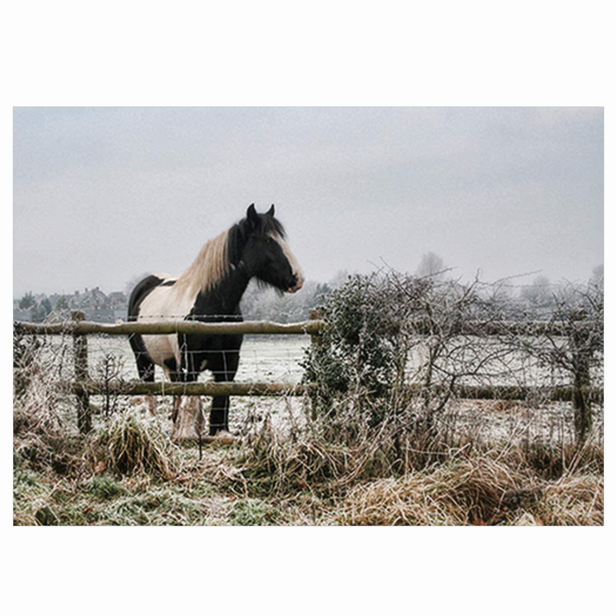Equestrian Christmas Cards - Pack of 10 - One Design