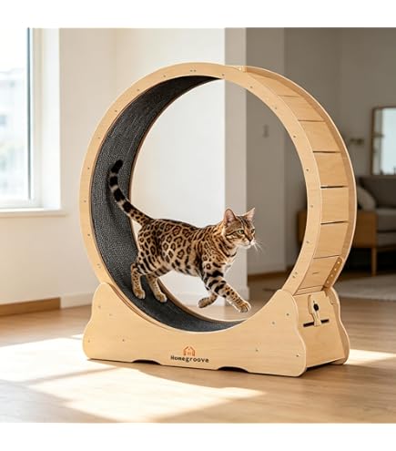 aumuca interactive cat feather toy Potaroma Cat Feather Toys Interactive, Unpredicatable in-The-Cover Mov