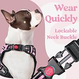 rabbitgoo Dog Harness Large No Pull Front Back Clips Reflective Pink L view 4
