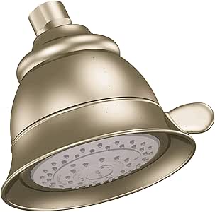 Moen 3838AZFour-Function - Alcachofa de ducha, color bronce antiguo