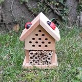 Apples to Pears Make Your Own Insect House Kit - Bug Hotel for Bees & Ladybirds view 8