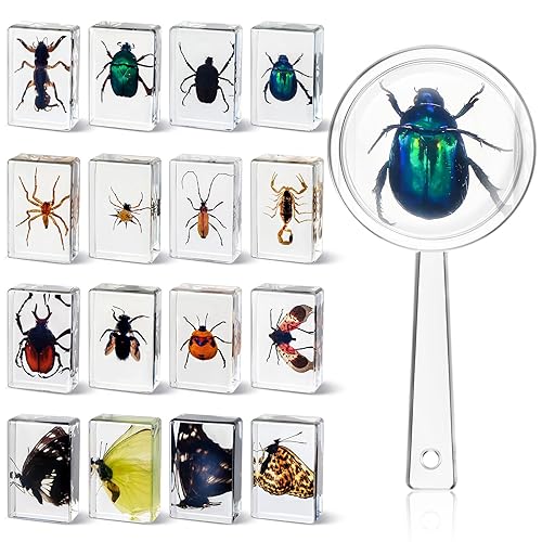 CroBlissful 16 Pcs Insect in Resin Specimen Bugs Collection ...