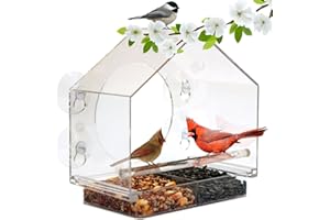 Window Feeder for Birds by Nature Anywhere. Bird Feeders Window for Wild Birds with Sliding Seed Holder and 4 Extra Strong Su