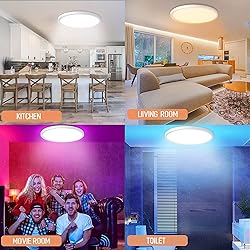 MELEGAN Smart Led Ceiling Light Flush Mount, 12