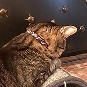 beastie bands amazon