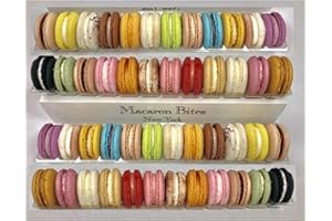 MACARON BITES Macaron Box of 48 Assorted Flavors