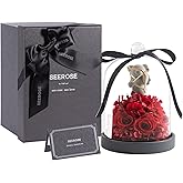 SEEROSE Preserved Roses in Glass with Cupid Rose Bear, Real Forever Rose with Elegant Gift Box, Cute Valentine's Day, Anniversary, Birthday Gift for Her Wife Girlfriend Mom (Cupid Bear, Red)