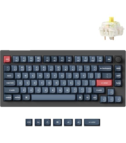Amazon.com: Keychron Q1 RGB Wired Custom Mechanical Keyboard Knob