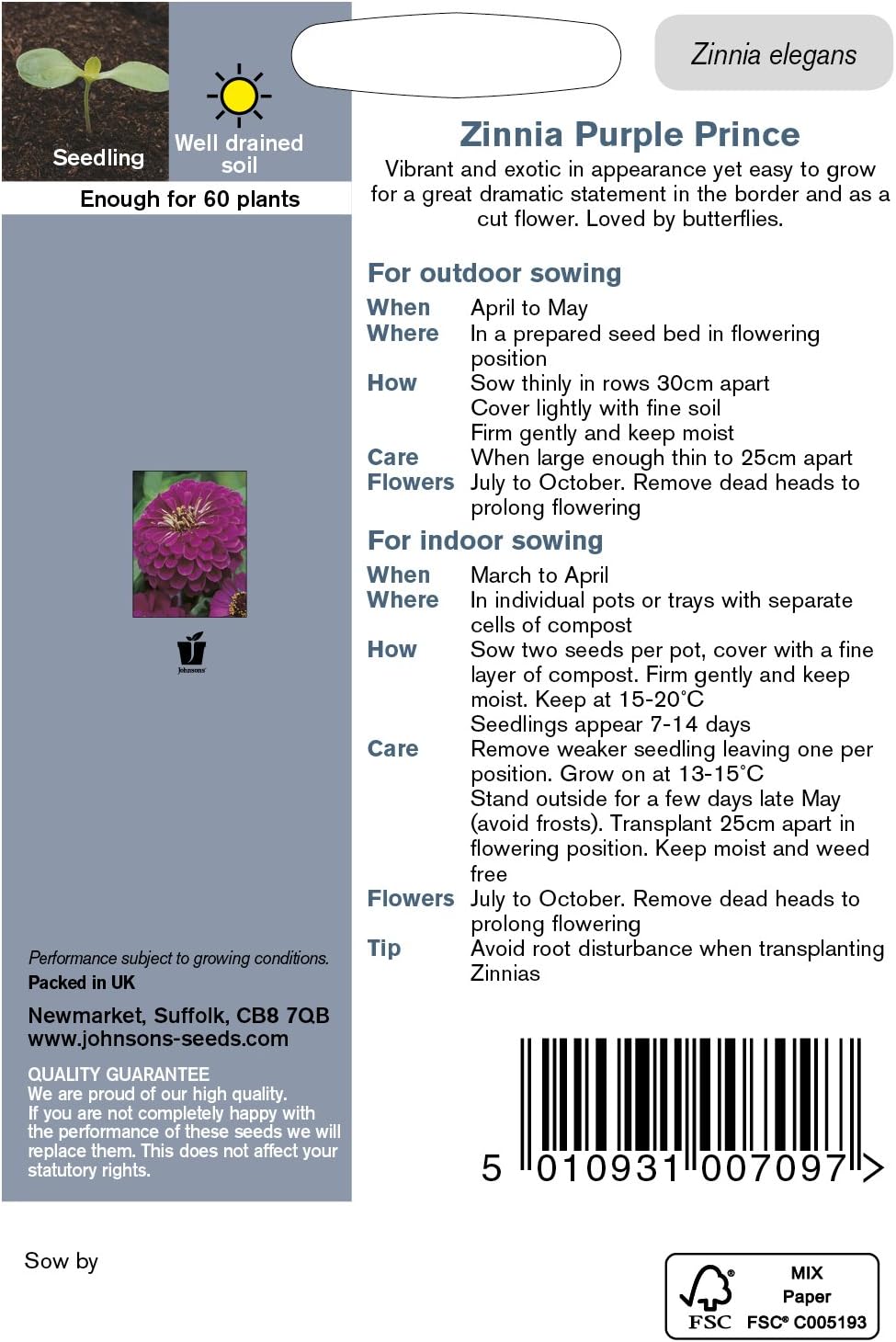 Johnsons 23905 Flower Seeds, Zinnia Purple Prince - Image 3