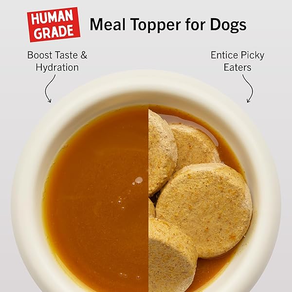 STELLA & CHEWY’S HUMAN-GRADE GRASS-FED BEEF BONE BROTH FOR DOGS – JOINT & GUT HEALTH LIQUID FOOD TOPPER WITH COLLAGEN & TURMERIC, 16 FL OZ RESEALABLE POUCH
