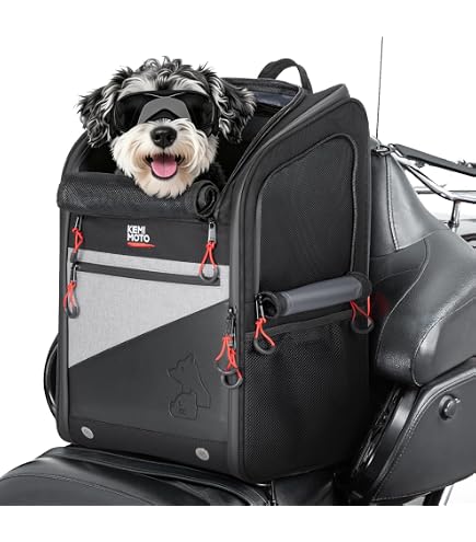 Amazon.com: Saddlemen Motorcycle Pet Voyager Rear Bag Black Amazon.com: Saddlemen Motorcycle Pet Voyager Rear Bag Black