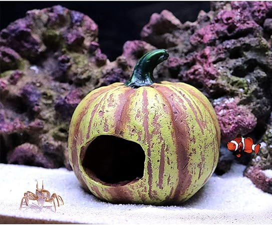 dog n cat wellness clinic