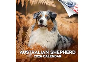 MEGACALENDARS 2025 2026 Australian Shepherd Calendar - Dog Breed Monthly Wall Calendar - 12" x 24" Open - Thick No-Bleed Paper - Giftable - Academic Teacher's Planner Calendar Organizing & Planning - Made in USA