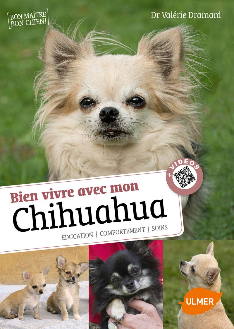 Savoir Vivre Avec Mon Chihuahua Education Comportement