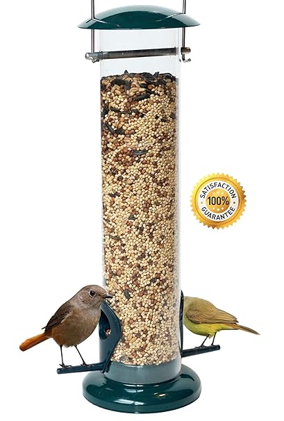 Dawn Of Pets Best Deal Bird Feeder For Outside Weather Proof