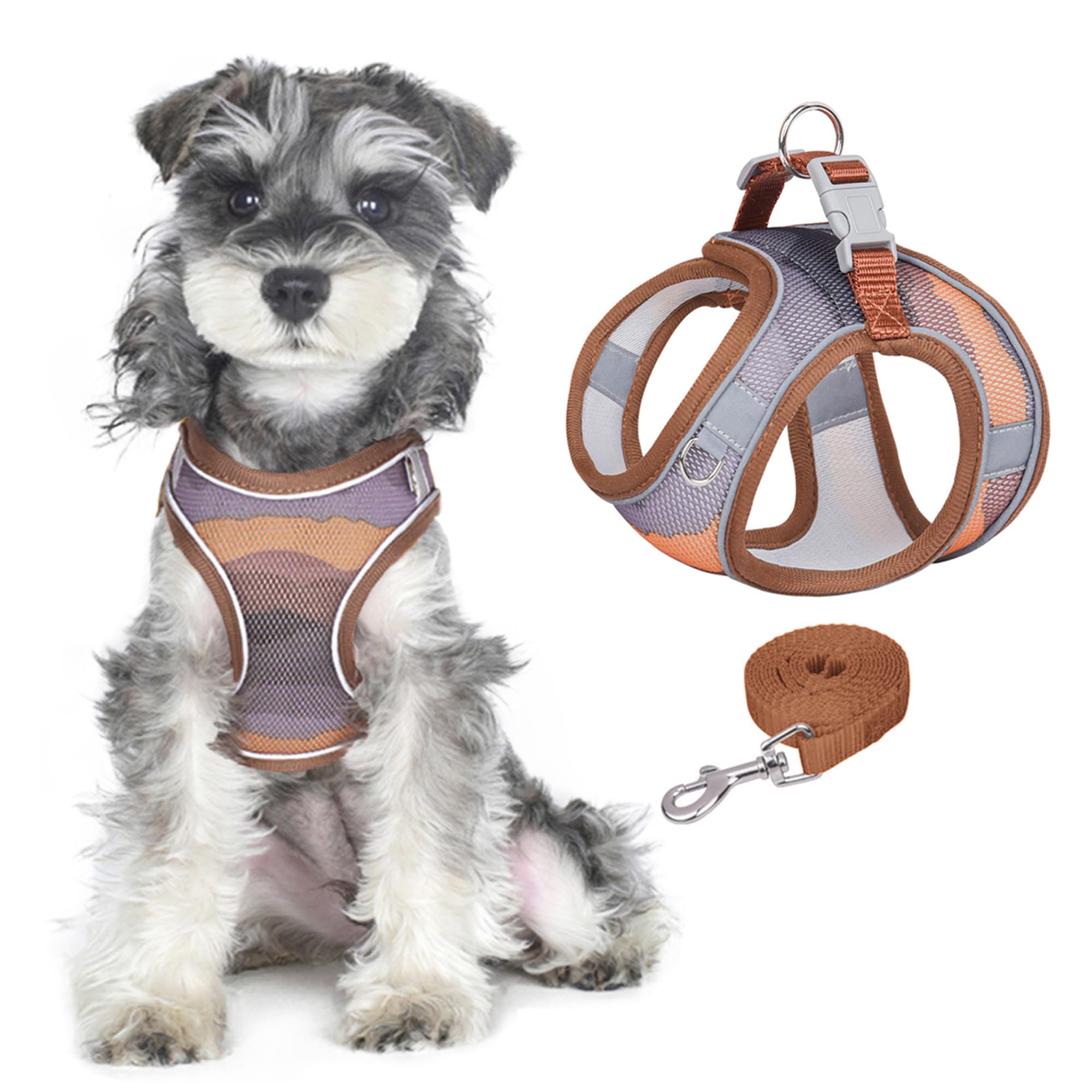 PawSailor No Pull Dog Harness and Leash Set Soft Mesh Breathable Step-in Adjustable Printed Reflective with Safe Buckle Escape Proof Dog Vest Harness for Small Medium Dogs, Brown L