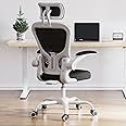 Decofy Ergonomic Office Chair with Adjustable Headrest & Lumbar Support - 400lbs Heavy Duty White Computer Desk Chair, Breathable Mesh Back, 360° Swivel & Silent Wheels for Home Office (Black & White)