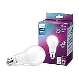 Philips LED Bright Dial Frosted A21