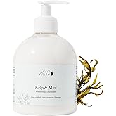 100% PURE Kelp & Mint Volumizing Conditioner Moisturizer & Deep Hydration - Botanical Body Boost for Dry, Damaged Thinning Hair, Promotes Healthy Growth for Women & Men - Sulfate Free - 16 Fl Oz