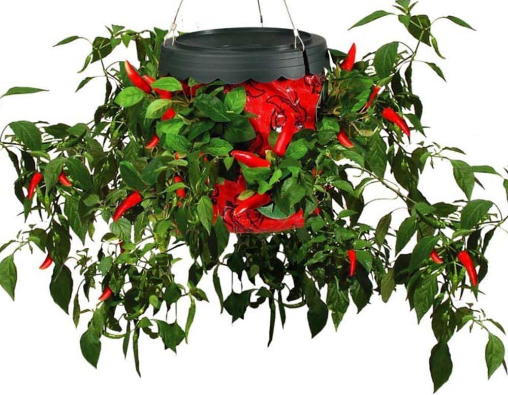 Set of 4 ~ Topsy Turvy Hot Pepper Planter ~ The Original Upside Down Planter