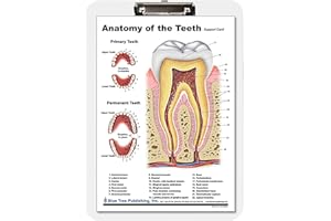 BLUE TREE PUBLISHING Tooth and Mouth Dry Erase Clipboard Two Sided for Dentist, Oral Hygienist, Dental Students