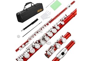 LeSage Closed Hole C Flutes 16 Key Bundy Flute for Beginner Student with Flute Case Maintenance