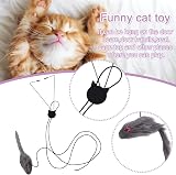 Fuyamp 2 Packs Door Hanging Cat Toy Interactive Mice Chasing Exercise view 6
