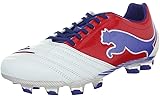 PUMA PowerCat 1.12 FG Mens Leather Soccer Boots/Cleats