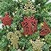 Valery Madelyn 24ct 10-13cm Red and Gold Sparkling Essential Christmas Ornaments Set Glittery Christmas Decoration-Tree, Snowflake, Candy Cane and Gift Box,24 Pcs Metal Hooks Included