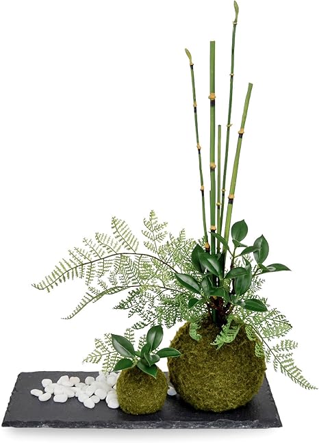 Amazon Cupbon フィカス 寄せ植え苔玉 黒岩皿 盆栽 造花 フェイクグリーン 人工観葉植物 オンライン通販