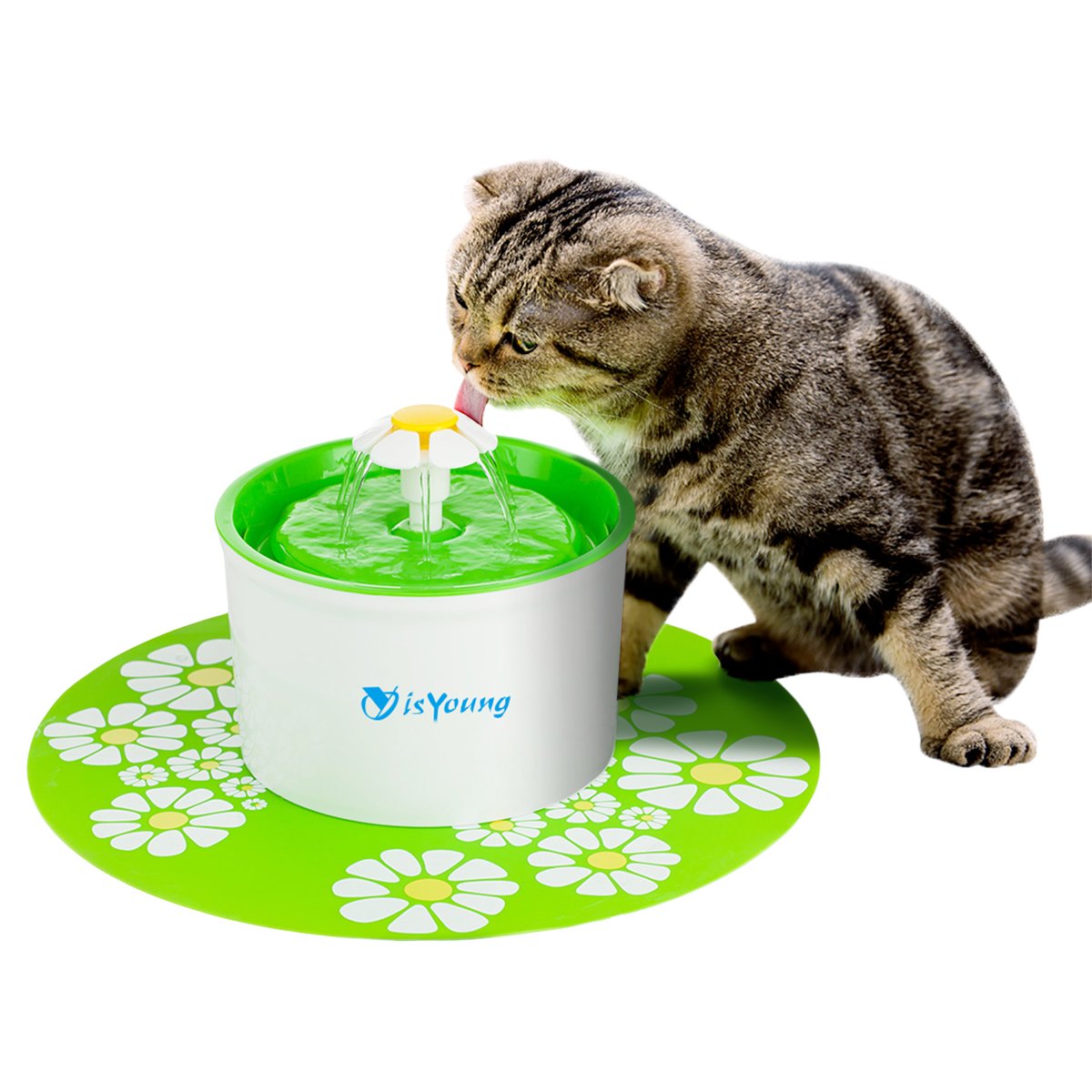 isyoung pet fountain