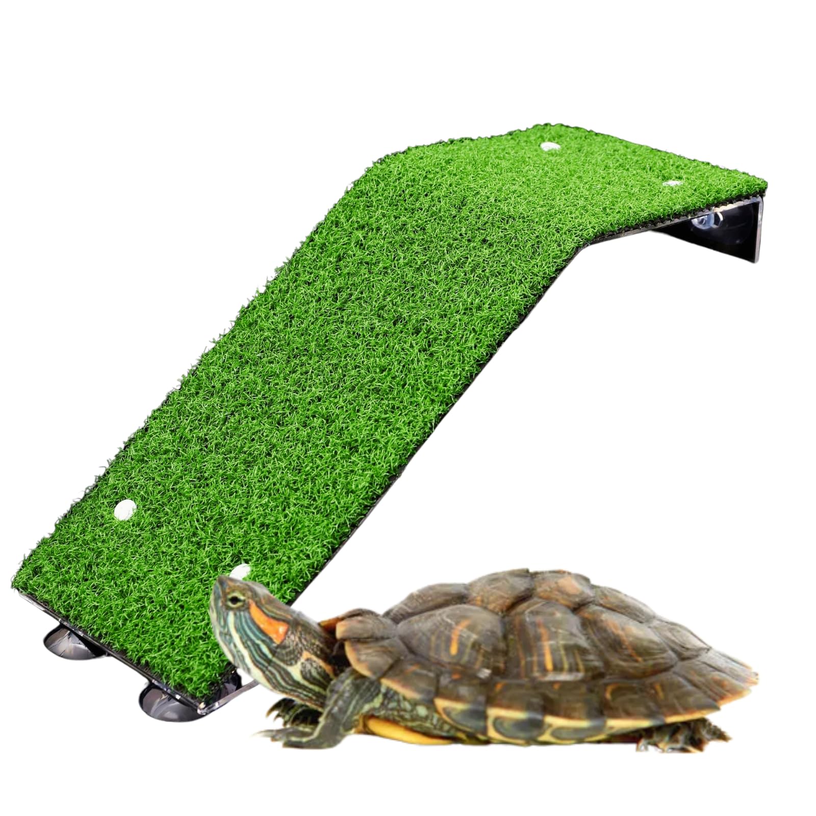 Saim Turtle Basking Platform Large Tortoise Reptiles Platform Ramp