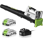 Leaf Blower Cordless with 2x2.0Ah Batteries and Fast Charger 21V Lightweight Electric Leaf Blower, Portable Handhold Battery Powered Blowers for Lawn Care, Patio Cleaning, Blowing Leaves and Dust