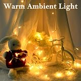 Dalugo 3M 30 LED Warm White Battery Fairy Lights Timer IP65 view 5