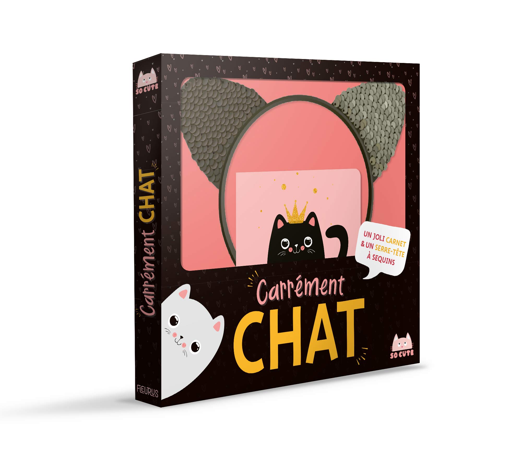 Carrement Chat Fleurus Editions Amazon Com Books