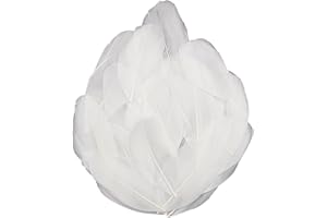 FEATUMAN 50 Pieces Natural Goose Feathers, 2-3 Inch Craft Feathers for Centerpieces, Bulk Colorful Feather for Gatsby Party, Weddings Dress and Birthday Home Party Decoration (White)