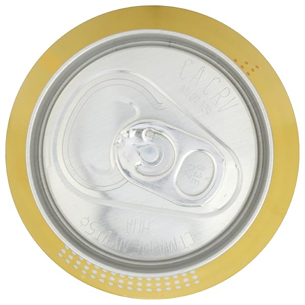SANZO MANGO SPARKLING WATER, 12 FZ
