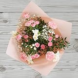 All Occasions Luscious Pinks Bouquet Carnations Freesias Hand Tied Fresh Flowers view 2