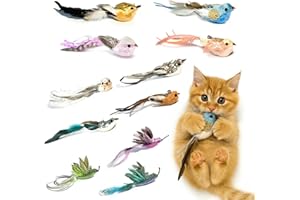 ZAYLUMO Multi-Function Cat Toy Replacement Heads Set-11 Realistic Birds, Made of Natural Feathers and Fabric, Equipped with B