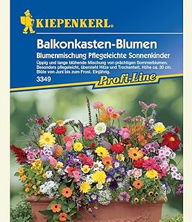 Balkonkasten-Blumenmix Pflegeleichte Sonnenkinder,1 Portion