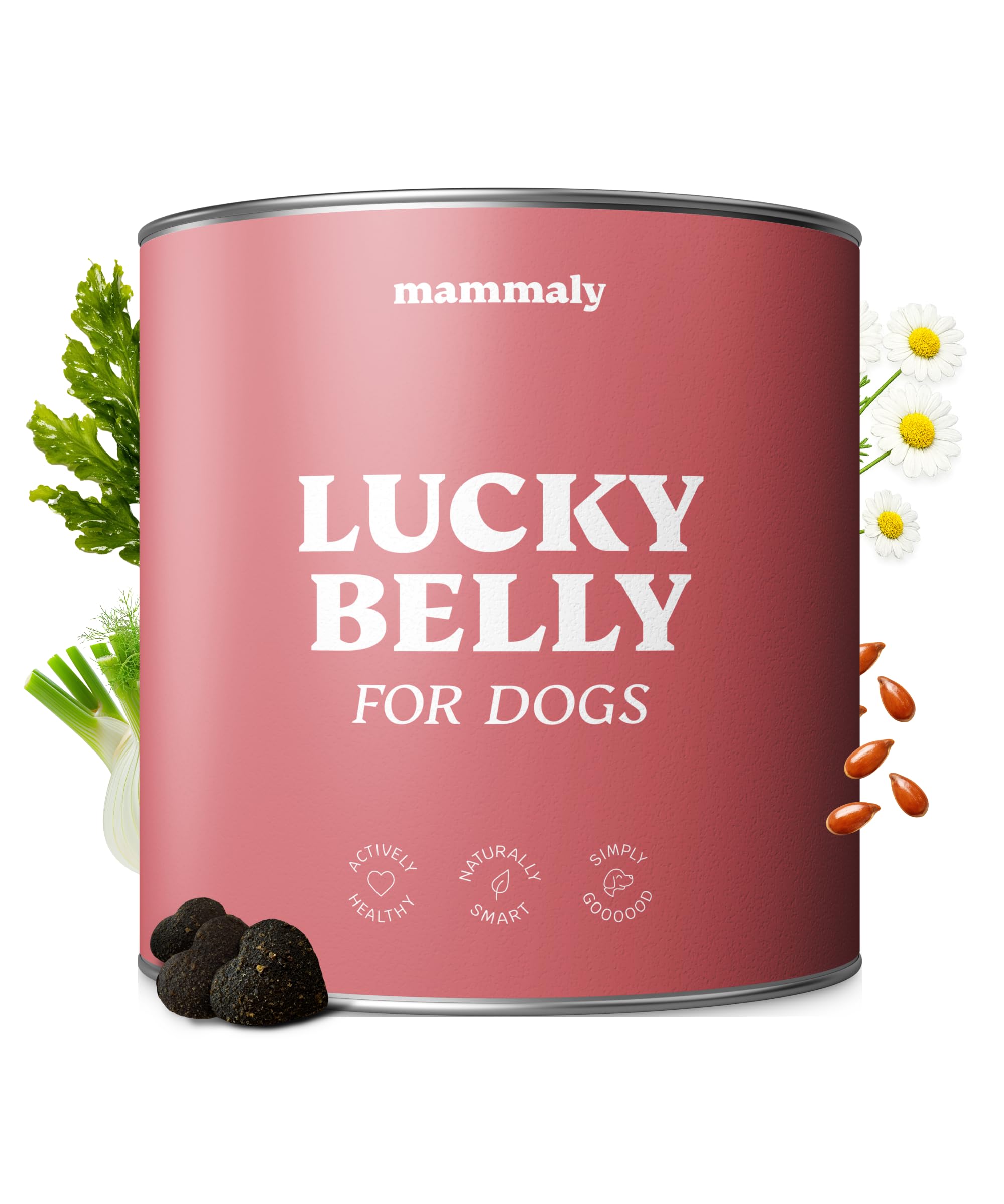 Mammaly Lucky Belly | Dog Probiotic Supplements | Unflavored | 325g