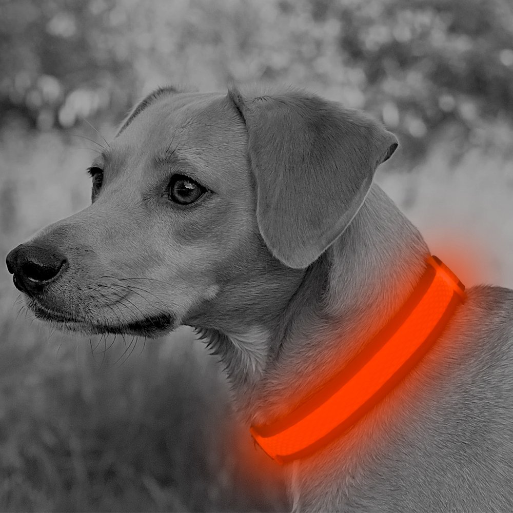 Ezier LED Dog Collar- USB Rechargeable Glow in The Dark Led Pet Collar- Light Up Dog Necklaces to Keep Your Dogs Be Seen& Safe (L, Orange)