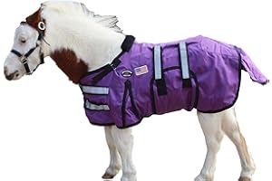CHALLENGER 1680D Miniature Weanling Donkey Pony Horse Foal Winter Blanket 519TS01