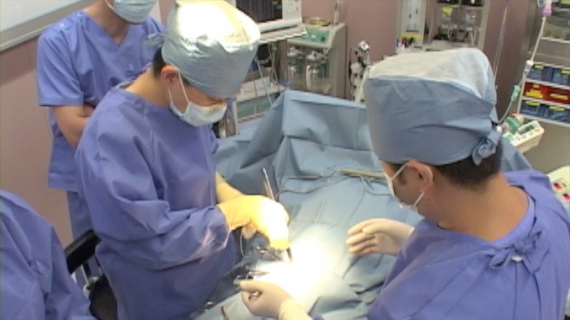 Dr みやざきの鼠径ヘルニア手術テクニックコレクション ケアネットdvd 宮崎 恭介 本 通販 Amazon