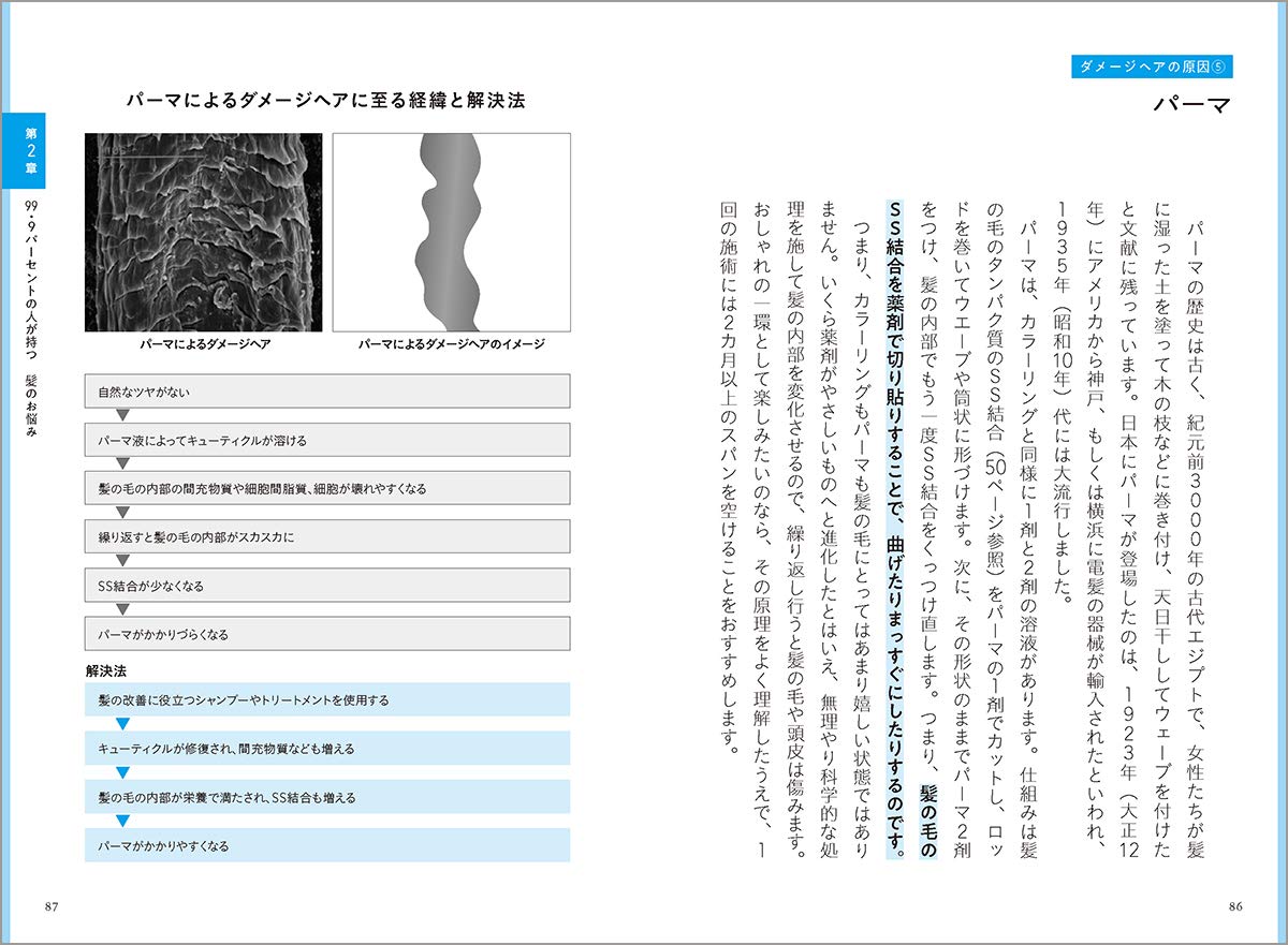 髪のスペシャリストが教える髪の大事典 傷んだ髪は復元できる Amazon Com Books