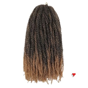 Amazon Com Braids Hair Crochet Ombre Afro Kinki Kanekalon