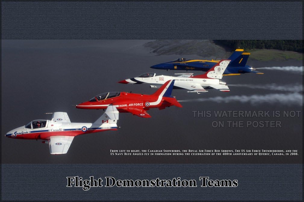 Thunderbirds, Blue Angels, RAF Red Arrows, and Canadian Snowbirds