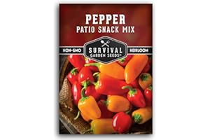 Patio Snack Mix Mini Sweet Pepper Seeds for Planting | Compact Lunchbox-Style Heirloom Variety – Non-GMO Container Garden Peppers – Survival Garden Seeds (1 Pack)